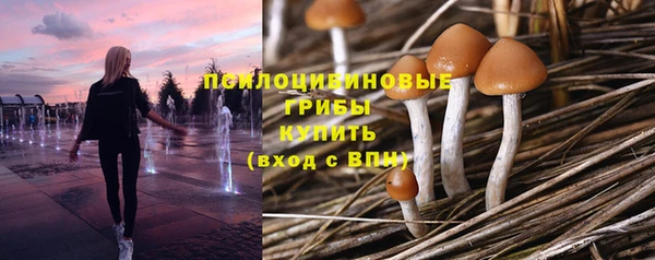 не бодяженный Медвежьегорск