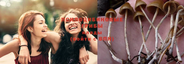 амф Медногорск